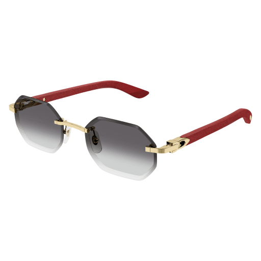 Signature C de Cartier CT0439S 003