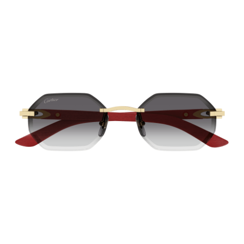 Signature C de Cartier CT0439S 003