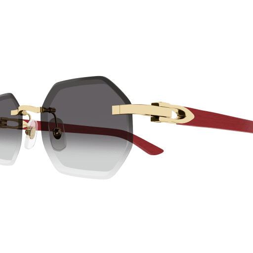 Signature C de Cartier CT0439S 003