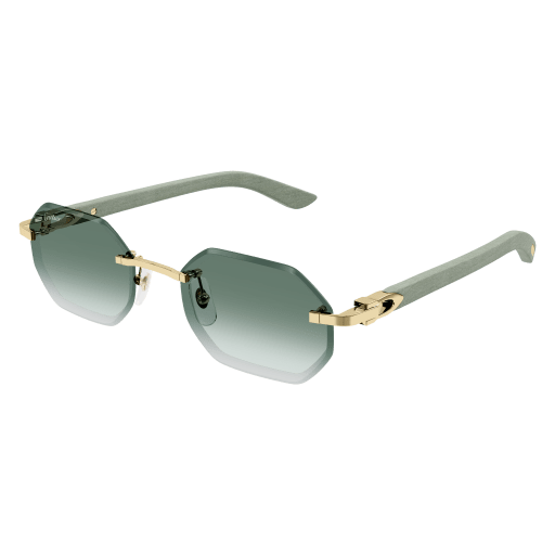 Signature C de Cartier CT0439S 004