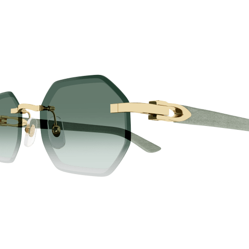 Signature C de Cartier CT0439S 004