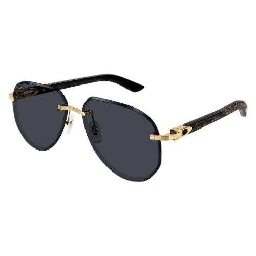 Signature C de Cartier CT0440S 001