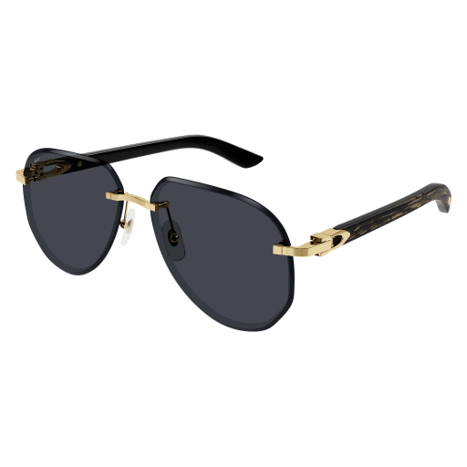 Signature C de Cartier CT0440S 001