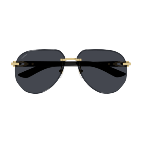 Signature C de Cartier CT0440S 001