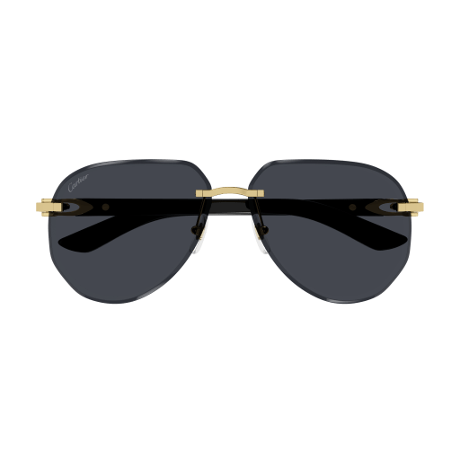 Signature C de Cartier CT0440S 001