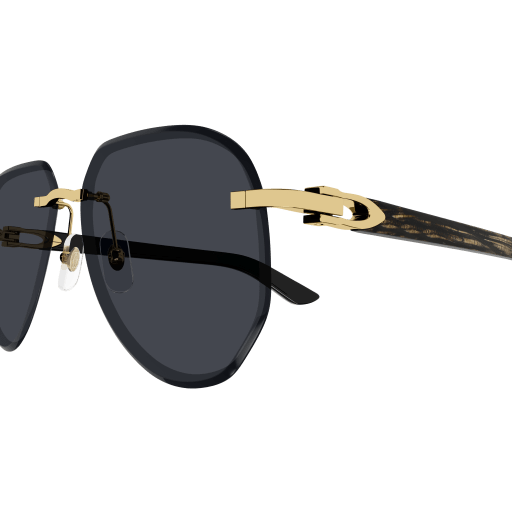 Signature C de Cartier CT0440S 001