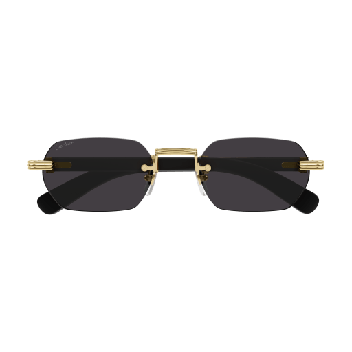 Première de Cartier CT0362S 001