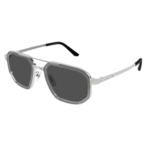 Santos de Cartier CT0462S 006