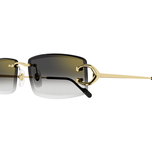 Signature C de Cartier CT0465S 001