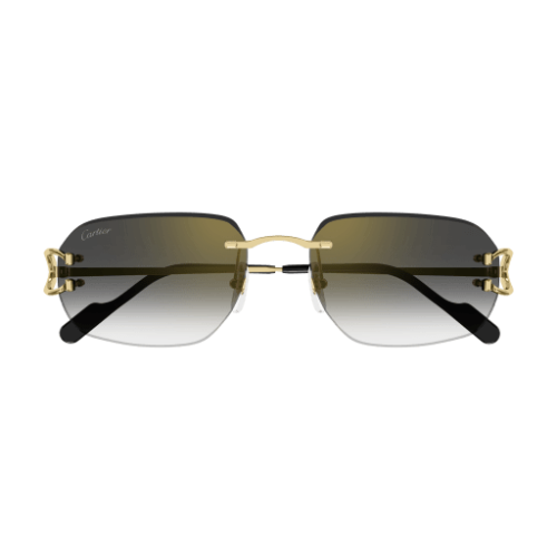 Signature C de Cartier CT0468S 001