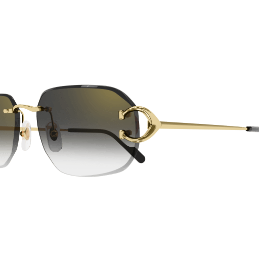 Signature C de Cartier CT0468S 001