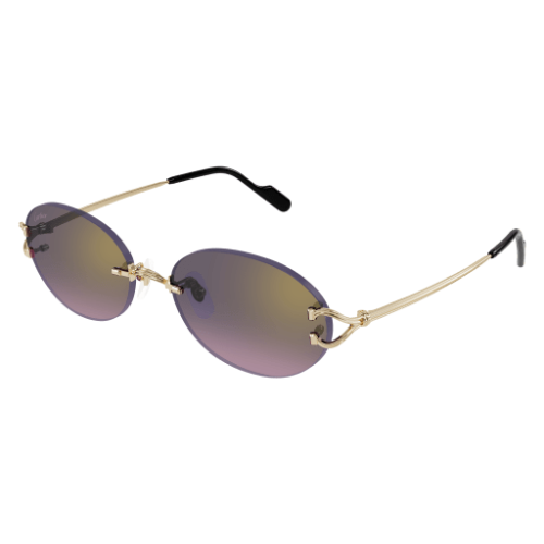 Signature C de Cartier CT0551S 004