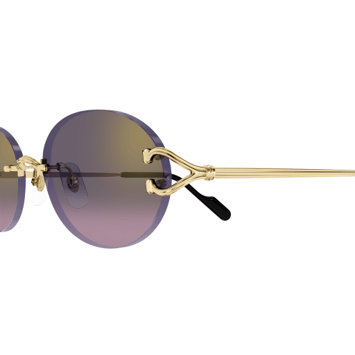 Signature C de Cartier CT0551S 004