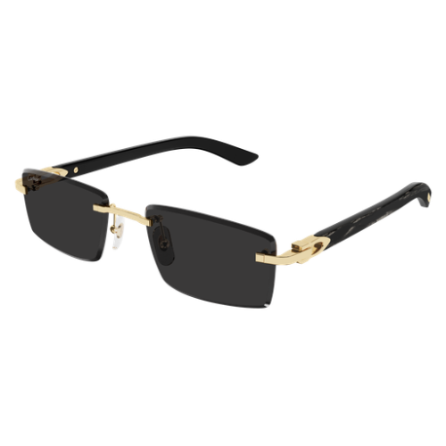 Signature C de Cartier CT0582S 001