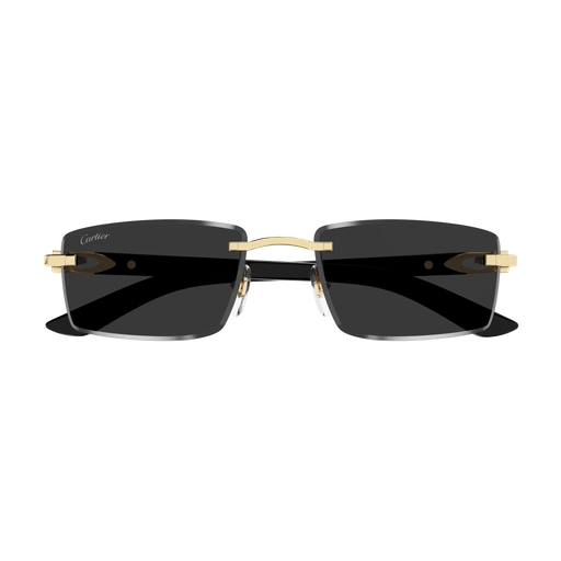 Signature C de Cartier CT0582S 001