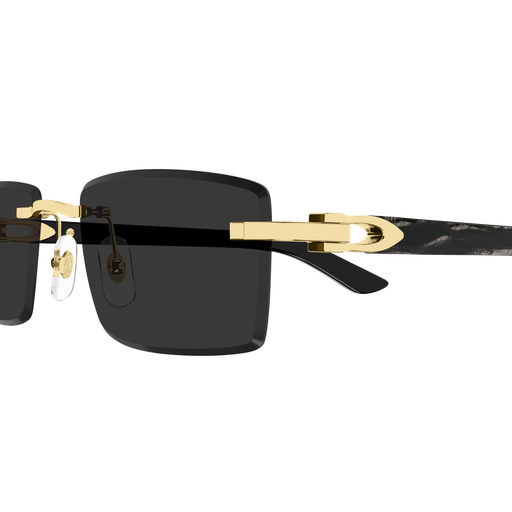 Signature C de Cartier CT0582S 001