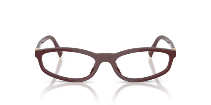 Miu Miu MU01ZV 26L1O1 54