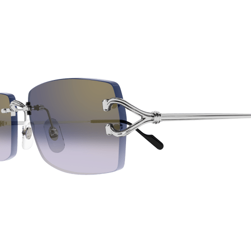 Signature C de Cartier CT0550S 003