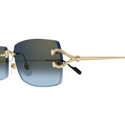 Signature C de Cartier CT0550S 002