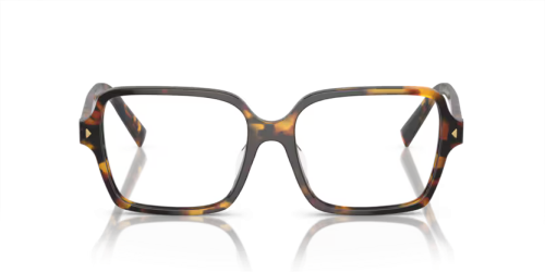 Prada PR A02V VAU1O1 53