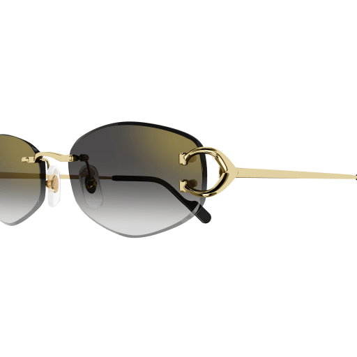 Signature C de Cartier CT0467S 001