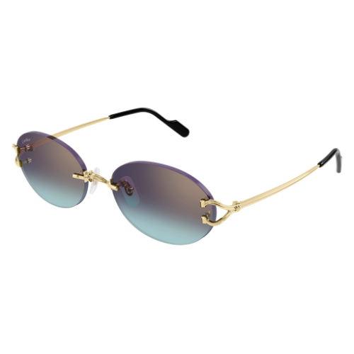 Signature C de Cartier CT0551S 008