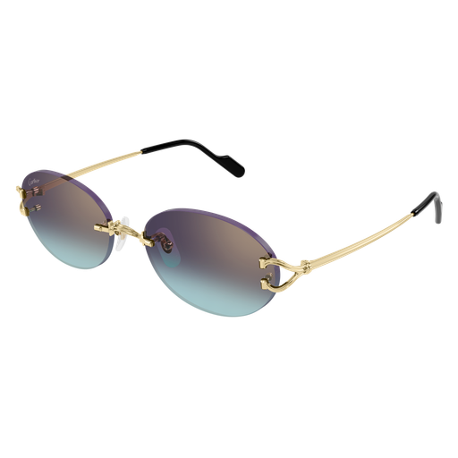 Signature C de Cartier CT0551S 008