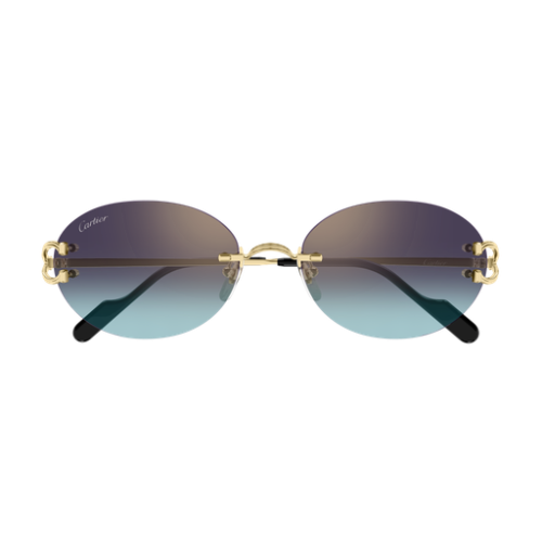 Signature C de Cartier CT0551S 008