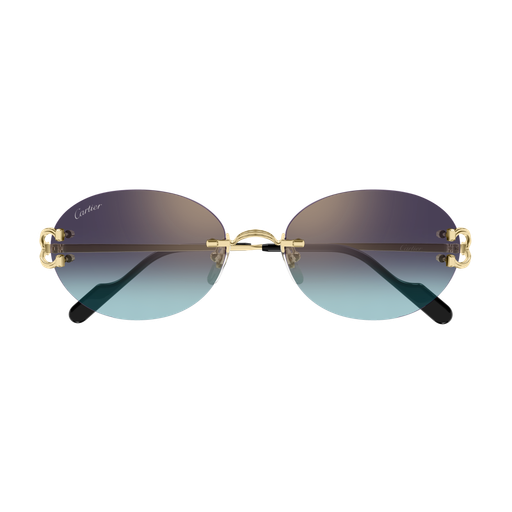 Signature C de Cartier CT0551S 008