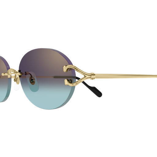 Signature C de Cartier CT0551S 008
