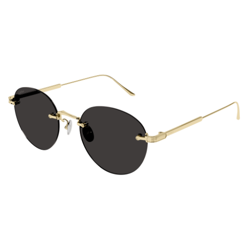 Signature C de Cartier CT0393S 002