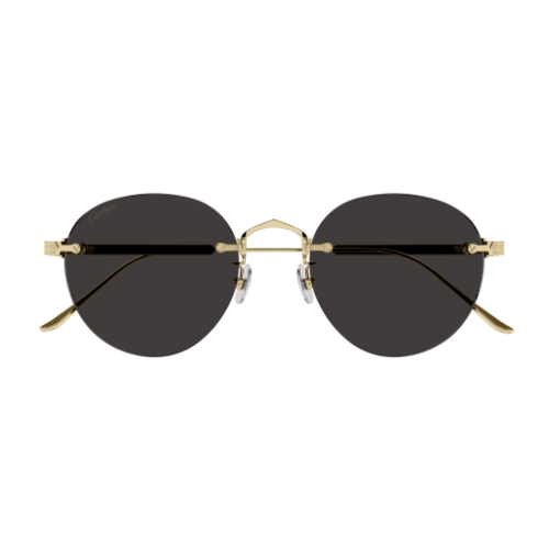 Signature C de Cartier CT0393S 002