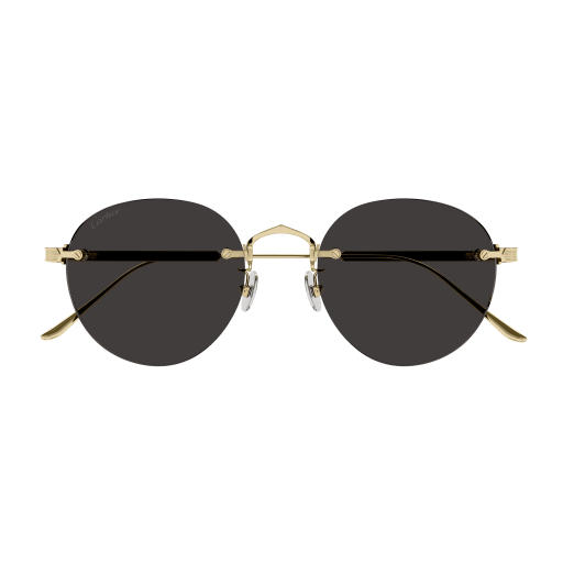 Signature C de Cartier CT0393S 002