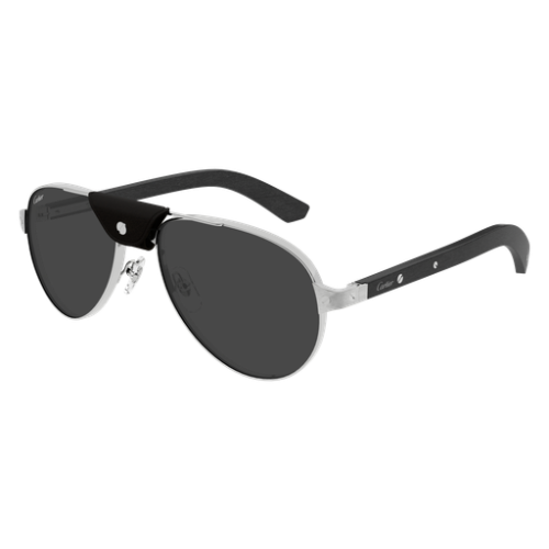Santos de Cartier CT0495S 003