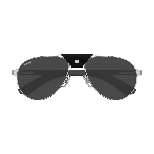 Santos de Cartier CT0495S 003