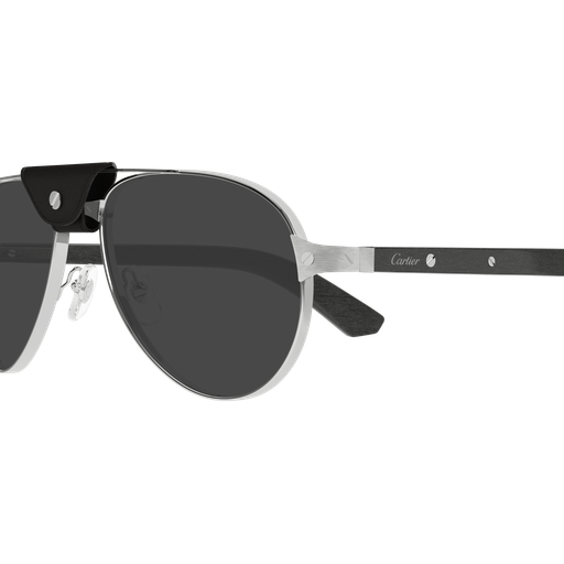 Santos de Cartier CT0495S 003
