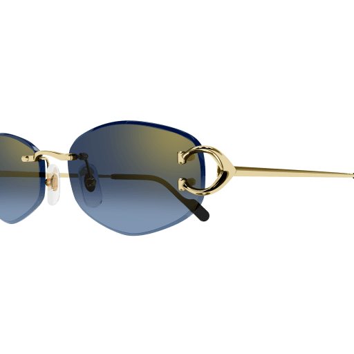 Signature C de Cartier CT0467S 002