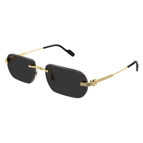 Première de Cartier CT0577S 001