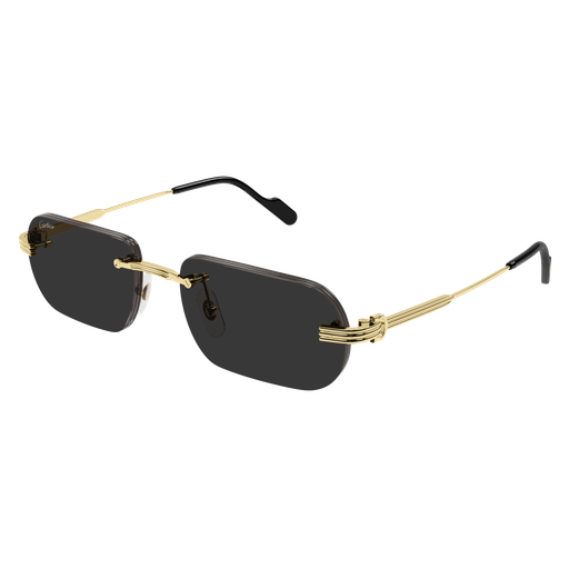 Première de Cartier CT0577S 001
