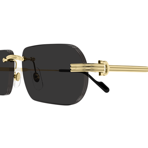 Première de Cartier CT0577S 001