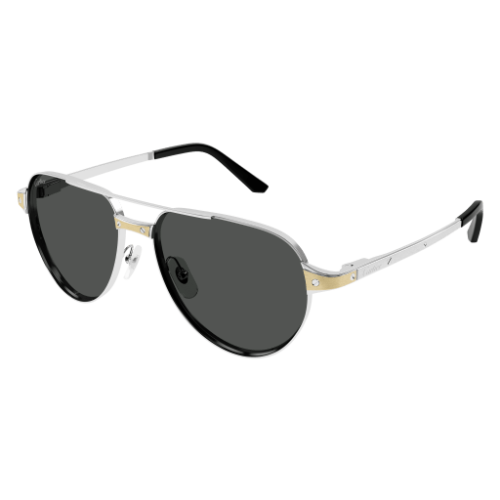 Santos de Cartier CT0425S 001