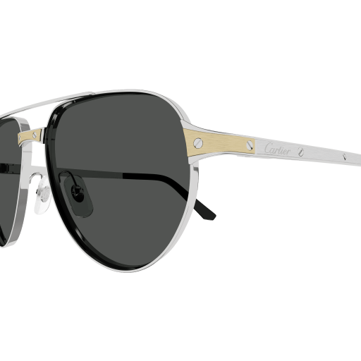 Santos de Cartier CT0425S 001
