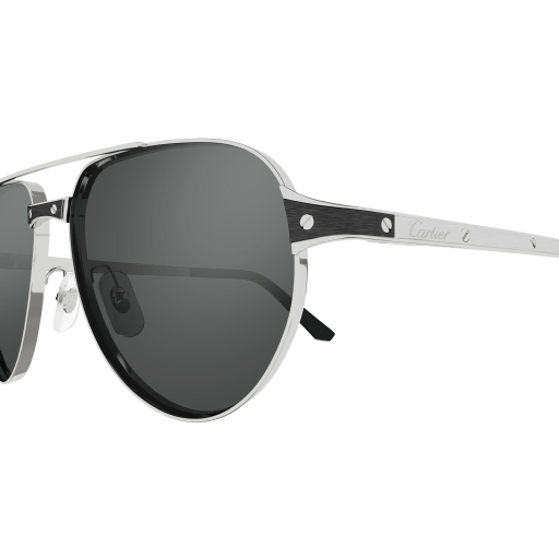 Santos de Cartier CT0425S 004