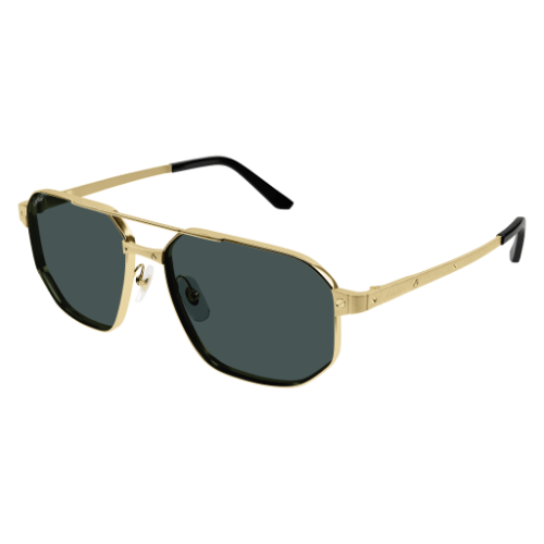 Santos de Cartier CT0462S 003