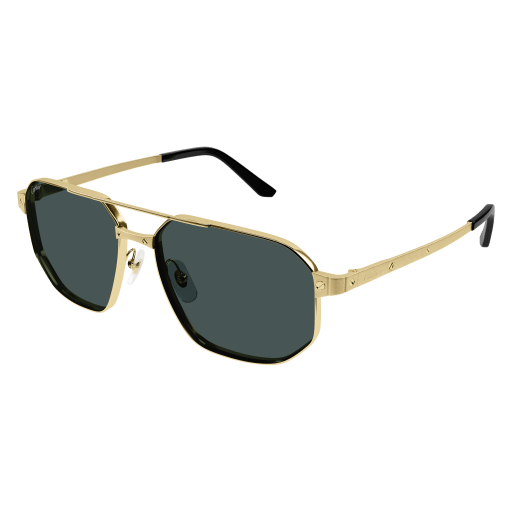 Santos de Cartier CT0462S 003