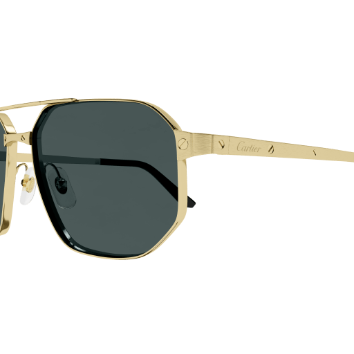 Santos de Cartier CT0462S 003