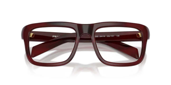 Prada PR D02V 25J1O1 54