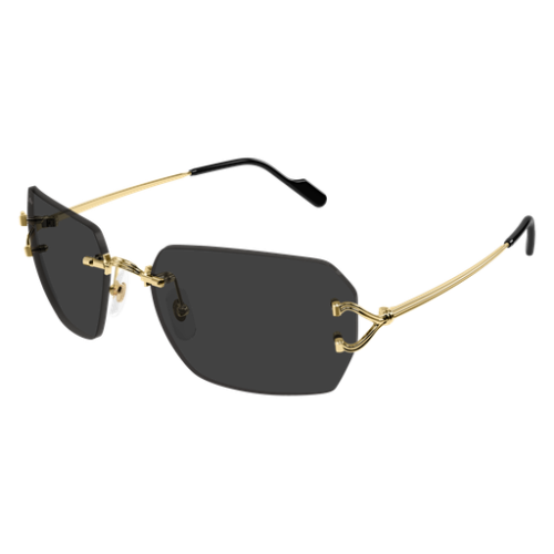 Signature C de Cartier CT0664S 001