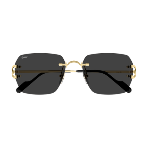 Signature C de Cartier CT0664S 001