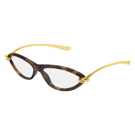 Bottega Veneta BV 1390S 008 56